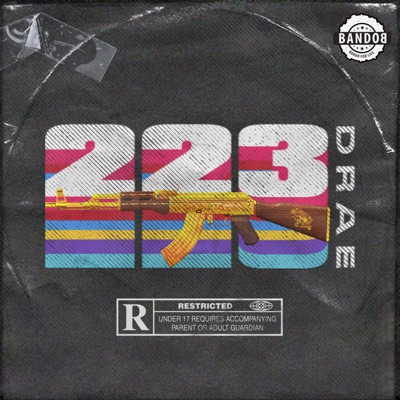 .223 (feat. RXZOR) - Single