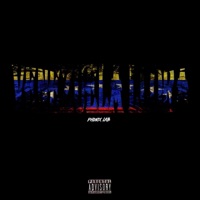 Venezuela llora - Single - Phonix Lab