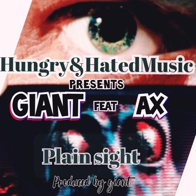 Plain Sight (feat. AX) - Single
