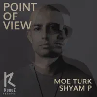 Point Of View — Moe Turk