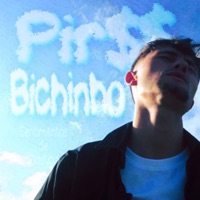 BICHINHO (feat. megz) - Single - Pir$$