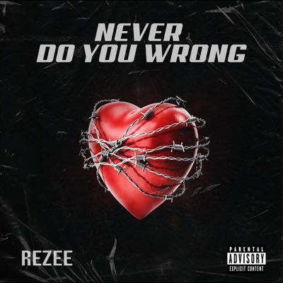 Never Do You Wrong (feat. Thir13een) - Single