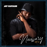 Necessary (sped up) - Single - Jay Rapiano