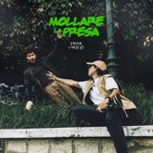 MOLLARE LA PRESA artwork