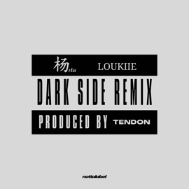 Dark Side (feat. Loukiie) Yangsta