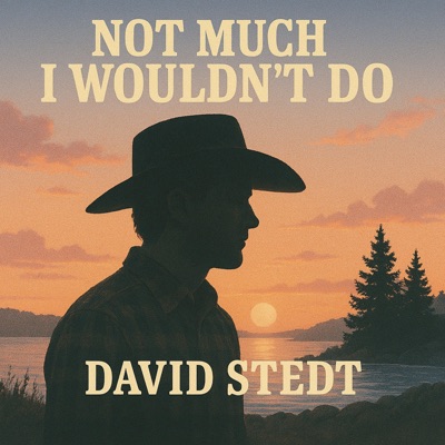 Not Much I Wouldn't Do - Single