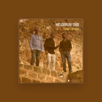 Melodrum Trio