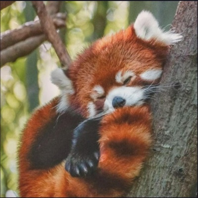 Sleep On Us - Single