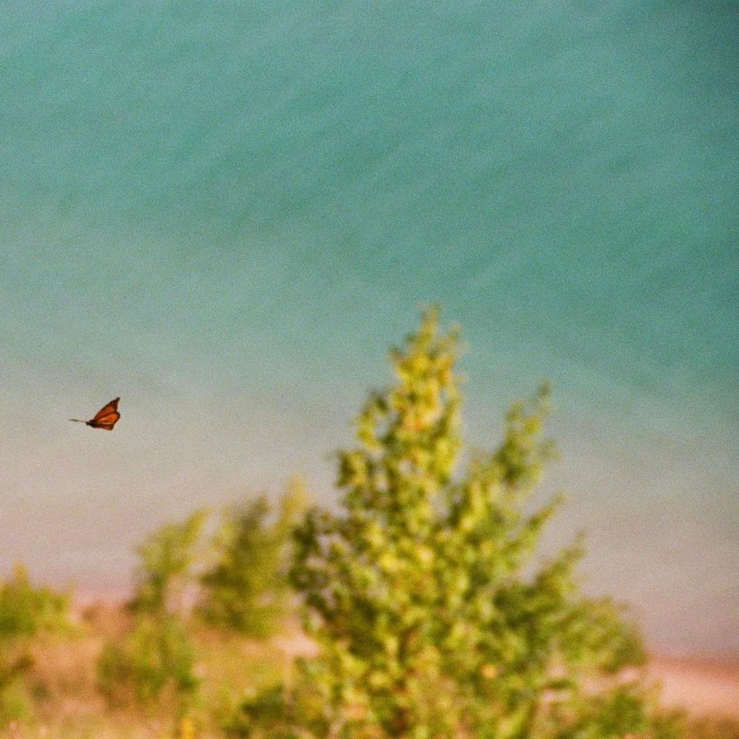 Flight Over Blue - EP