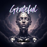 Grateful (feat. Lili) - Single - Timdek