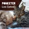 Los gatos - Ponketer lyrics