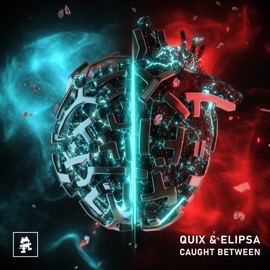 Caught Between QUIX & Elipsa