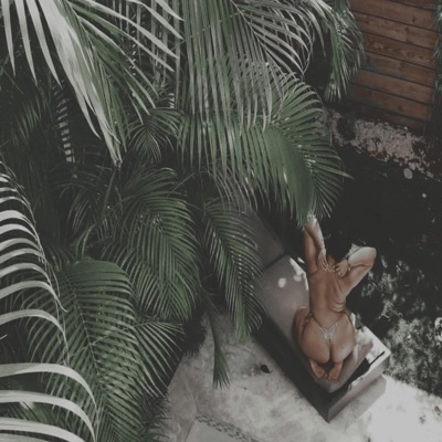 A.B.E Files 1 - Single