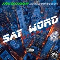 SAY WORD (M.T.M.M.G)  (feat. THEWINNA & DAMOTURNEDUP2X) [MIX] - Single - Sky Soprano