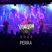 Perra (En Vivo) - Single - Viejas Locas