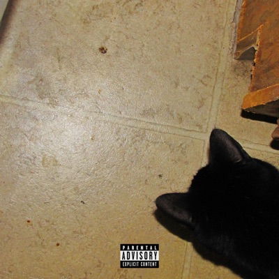 I Have Four Joint Burn Holes In My Linoleum Floor And I Still Don't Think I Have A Problem - Single