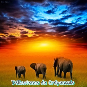 Délicatesse Du Crépuscule