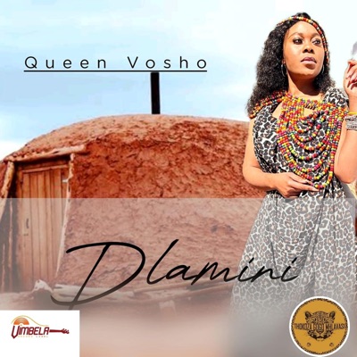 Dlamini - Single