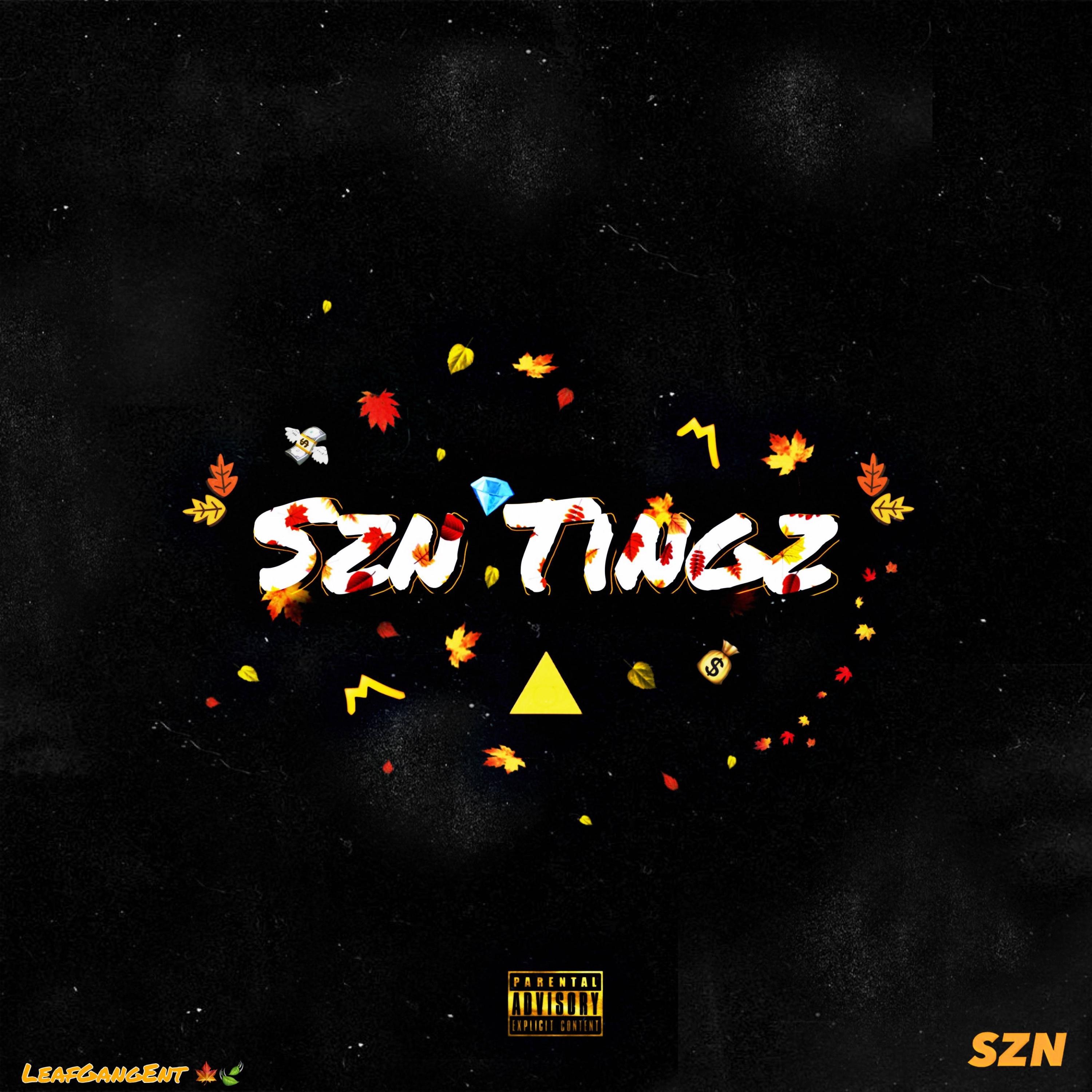 Szn Tingz - Single