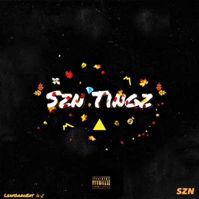 Szn Tingz - Single