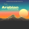 Arabian Pleasure (Karl8 & Andrea Monta Extended Rework) cover art