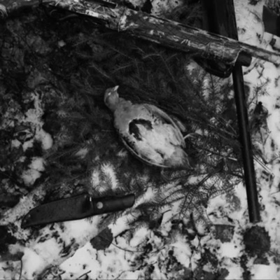 the stains of autumn (slowed) - Single