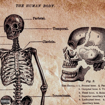 Shout to the Heavens - Single