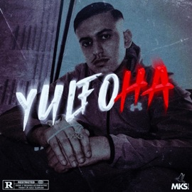 YULFO HA Kink Yulf