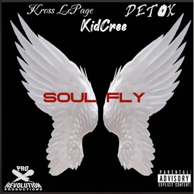 Soul Fly - Single
