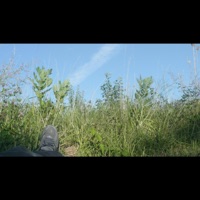 jumpsuit - Single - ctrlfreak