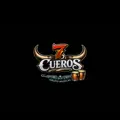 Grupo 7Cueros