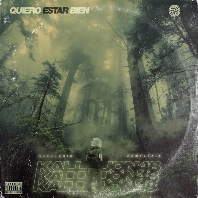 Quiero Estar Bien - Single