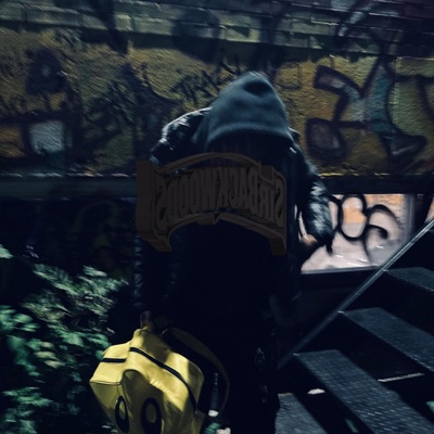 ##B4CKWOODS2!WAV - Single
