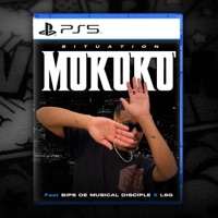 Mokoko (feat. LSG & Bips De Musical Disciple) - Single - Situation
