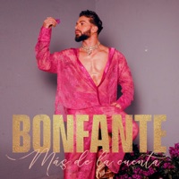 Más de la Cuenta - Single - Bonfante