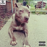 Got That Dog In Me (feat. Skellz) - Single - O.G Proce$$