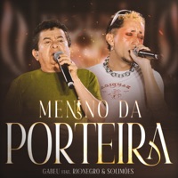 Menino da Porteira (feat. Rionegro & Solimões) - Single - Gabeu