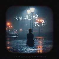 这辈子心酸太多 - Single - QL一星