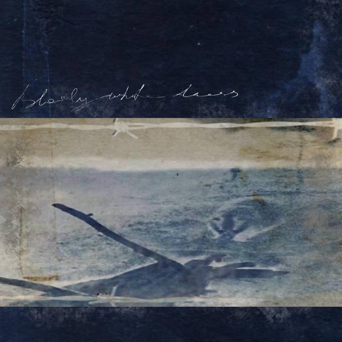 bwd cover art