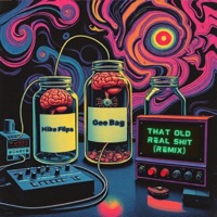 That Old Real Shit (feat. Gee Bag) [remix] - Single - Mike Flips