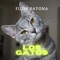 los gatos - FLOW BAYONA lyrics