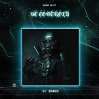Se controla - Single - DJ BANGS
