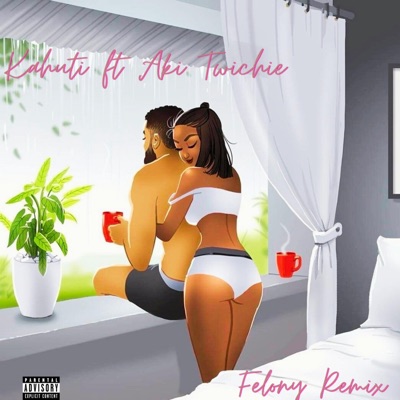 Felony (feat. Aki Twichie) [Remix] - Single