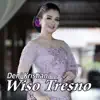 Deni Kristiani - Wiso Tresno