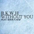 Without You
