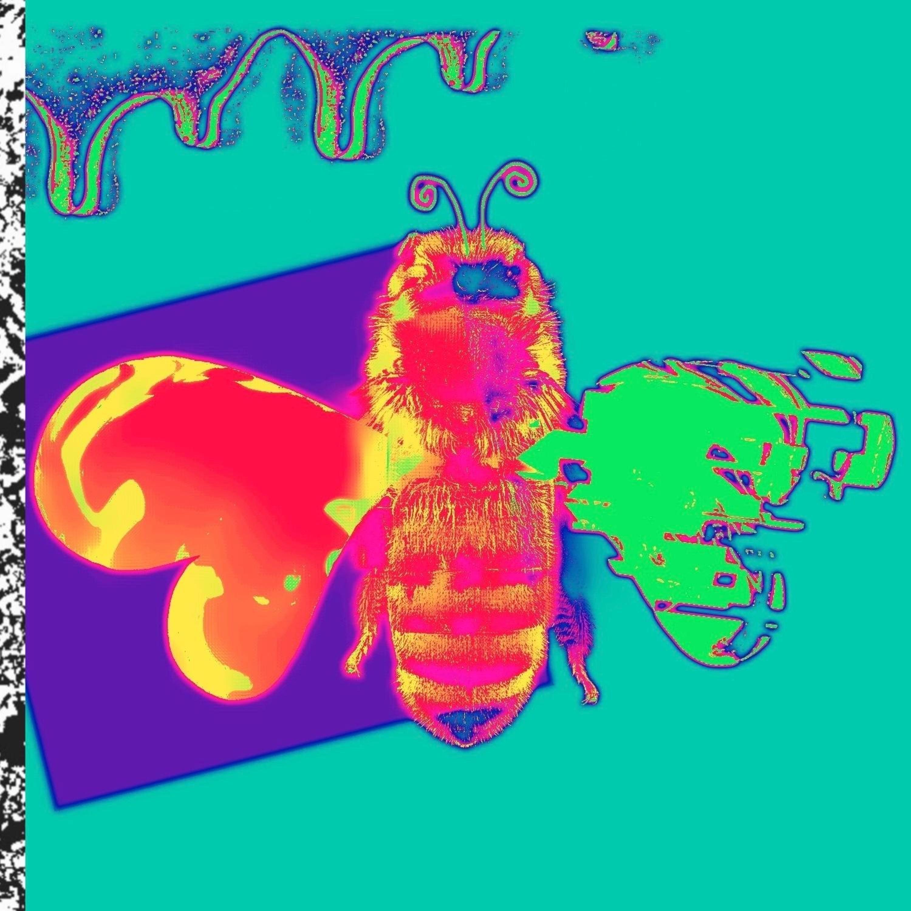 Feel This High - Single