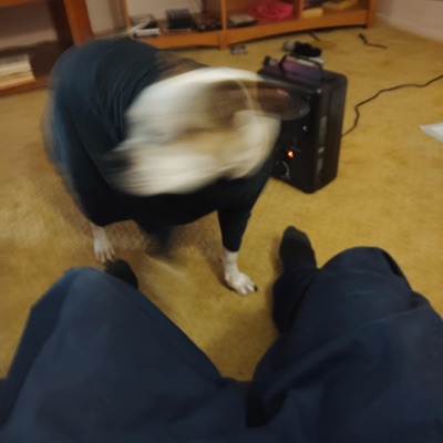 Money, Money, Money (feat. Harvey Howes) - Single