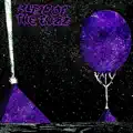 Pulsars