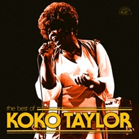 Koko Taylor Ablum Cover