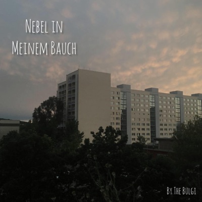 Nebel in meinem Bauch - Single